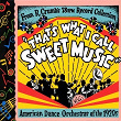 That's What I Call Sweet Music | Paul Specht & His Orchestra