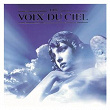 Les Voix Du Ciel (Angel Voices) | David Daniels