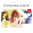 Cathedral Voices | Andrew Parrott