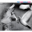 Free Form (Remastered / Rudy Van Gelder Edition) | Donald Byrd
