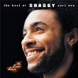 Mr Lover Lover - The Best Of Shaggy... (Part 1) | Shaggy