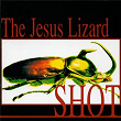 Shot | The Jesus Lizard