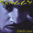 Midnite Lover | Shaggy