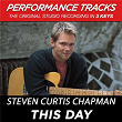 This Day (Performance Tracks) - EP | Steven Curtis Chapman