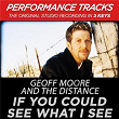 If You Could See What I See (Performance Tracks) - EP | Geoff Moore & The Distance