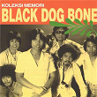 Dulu Dan Sekarang | Black Dog Bone