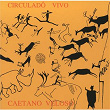 Circulado Vivo | Caetano Veloso