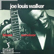 Blues Survivor | Joe Louis Walker