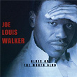 Blues Of The Month Club | Joe Louis Walker