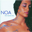 Blue Touches Blue | Noa