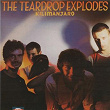 Kilimanjaro | The Teardrop Explodes