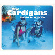 Hey! Get Out Of My Way | The Cardigans