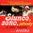 Slunce, Seno, Jahody... A Pár Facek... Erotika (Original Motion Picture Soundtrack) | Orchestr Karla Vágnera
