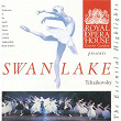 Tchaikovsky: Swan Lake Highlights | The Orchestra Of The Royal Opera House, Covent Garden