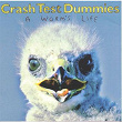 A Worm's Life | Crash Test Dummies