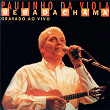 Paulinho Da Viola (Ao Vivo) | Paulinho Da Viola