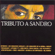 Tributo A Sandro | Divididos