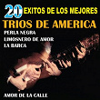 20 Exitos de los Mejores Trios de America | Trio Los Soberanos