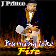 Burning Like Fire | J. Prince