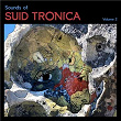 Sounds of Suid Tronica // Vol 2 | Cesar B. & Harry Charles