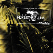 Forest Jam Sessions 2014-2016 | Forest Jam Groove Orchestra