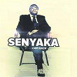 I Am Back | Senyaka