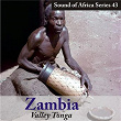 Sound of Africa Series 43: Zambia (Valley Tonga) | Group Of Tonga Men Led By Siamungomo