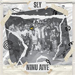 Ninu Aiye | Sly