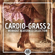 Cardio Grass 2: 2nd Workout Bluegrass Collection | Jim Vancleve