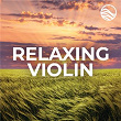 Relaxing Violin | David Davidson