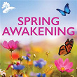 Spring Awakening | David Arkenstone