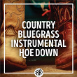 Country/Bluegrass Instrumental Hoe Down | Dale Potter