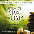 Ultimate Spa Music | David Lyndon Huff