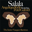 Salala (The Junior Vasquez Remixes) | Angélique Kidjo