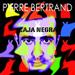 Caja Negra | Pierre Bertrand