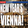 New Year's in Vienna | Heribert Beissel