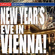New Year's Eve in Vienna | Heribert Beissel