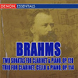Brahms: Two Sonatas for Clarinet and Piano, Op. 120 and Trio for Clarinet, Cello, and Piano, Op. 114 | Jurgen Demmler