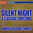 Christmas Trumpet | Prof. Manfred Niesgoda