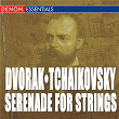 Dvorak - Tcahikovsky: Serenade for Srings | Milan Horvat