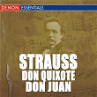 Richard Strauss: Don Quixote - Don Juan | Henry Adolph