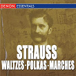 Great Strauss Waltzes, Polkas & Marches: Carl Michalski & The Viennese Folk Opera Orchestra | Carl Michalski