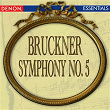 Bruckner: Symphony No. 5 | Moscow Rtv Large Symphony Orchestra Guennadi Rosdhestvenski