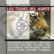 El Mas Grande Homenaje A Los Tigres Del Norte (Reissue) | Molotov