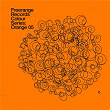 Freerange Records Presents Colour Series: Orange 05 | Manuel Tur