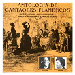 Antología de Cantaores Flamencos, Vol. 12 | Antonio Piñana