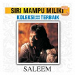 Koleksi Lagu Lagu Terbaik | Saleem
