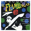 Descubre el Flamenco | La Perla De Cadiz