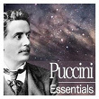 Puccini Essentials | Maurizio Barbacini