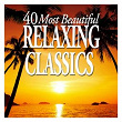40 Most Beautiful Relaxing Classics | Hugh Wolff